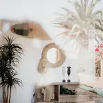 Dreamwaves Surf House Lajares Fuerteventura Gasthuis La Oliva