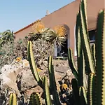 Dreamwaves Surf House Lajares Fuerteventura Gasthuis