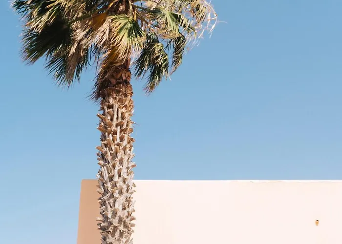 Casa de hóspedes Dreamwaves Surf House Lajares Fuerteventura *